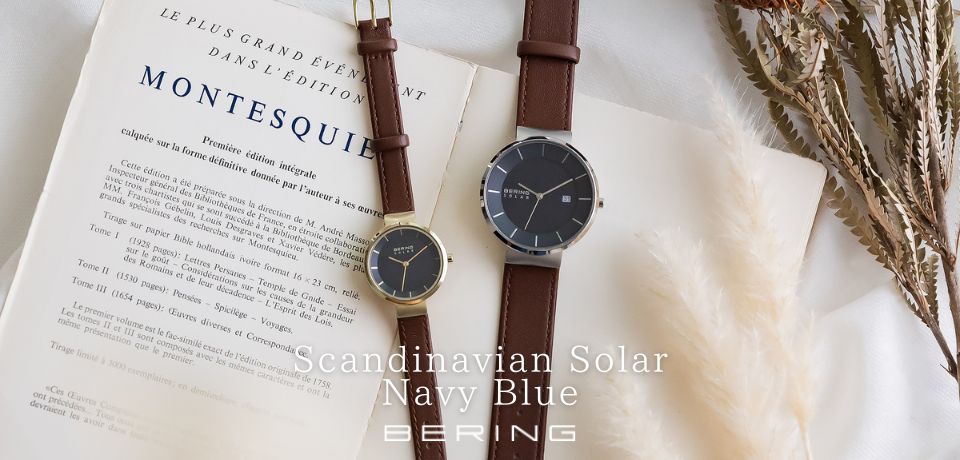 BERING/x[O XJWirA\[[ lCr[u[ 